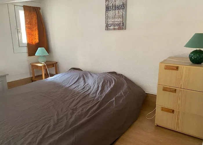 Appartement Joli Mezzanine Avec Parking Et Wifi La Roquille *