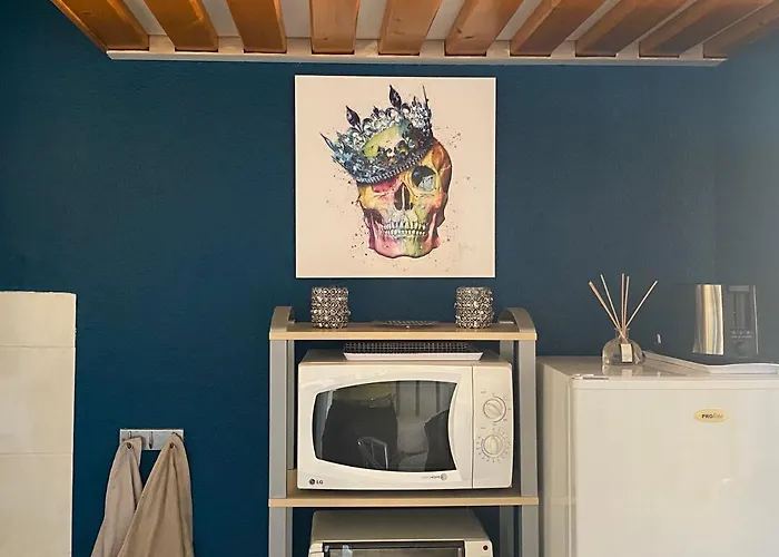 Appartement Joli Mezzanine Avec Parking Et Wifi La Roquille Agde