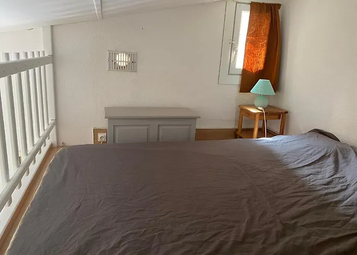 Appartement Joli Mezzanine Avec Parking Et Wifi La Roquille